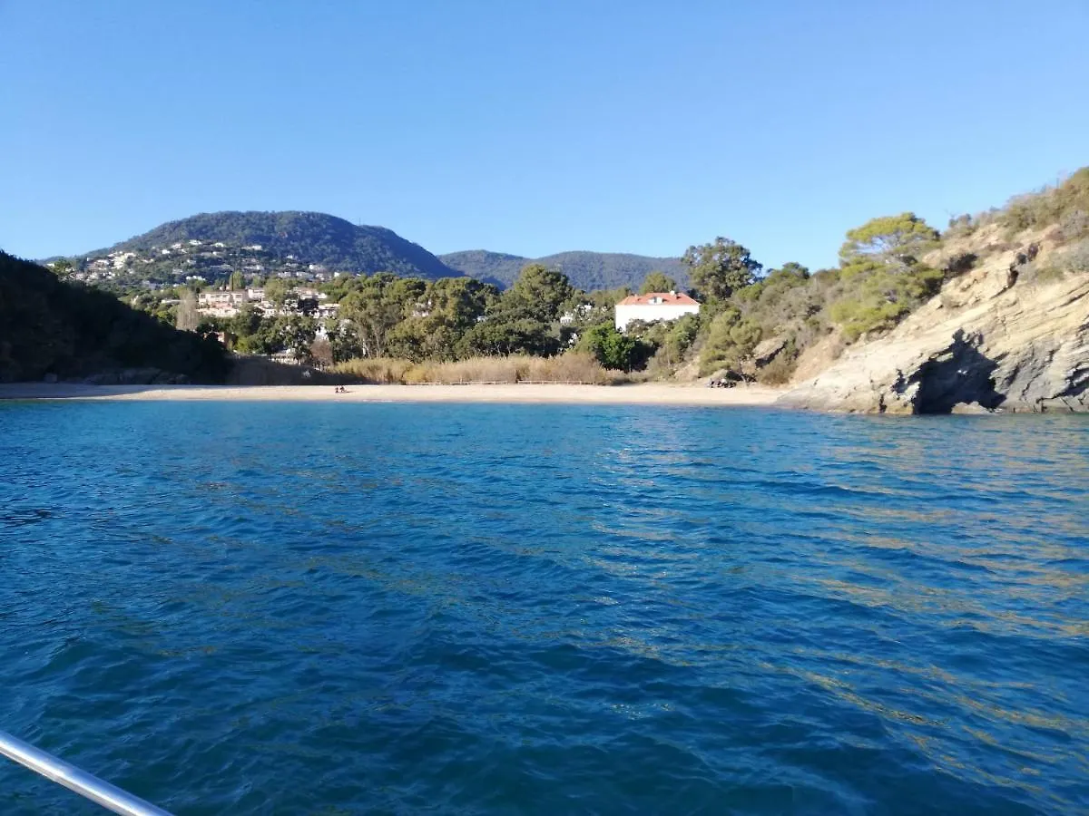 Les Calanques Lejlighed Cavalaire-sur-Mer 0*,